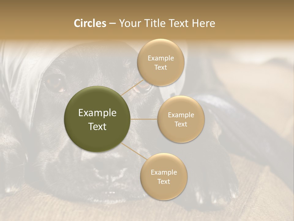 Dog PowerPoint Template