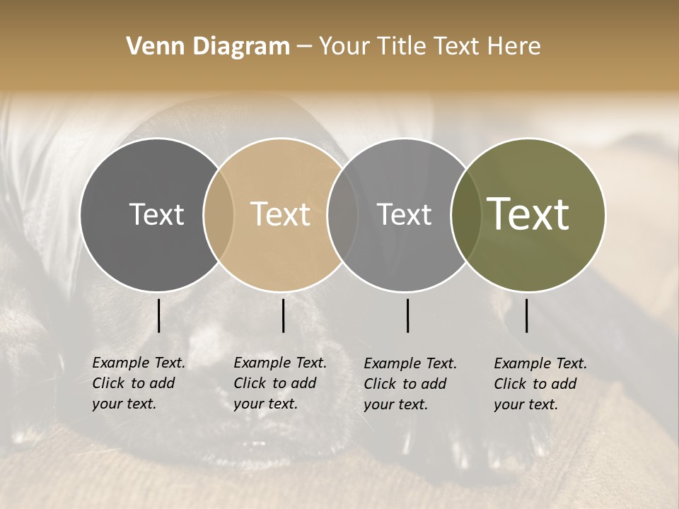 Dog PowerPoint Template