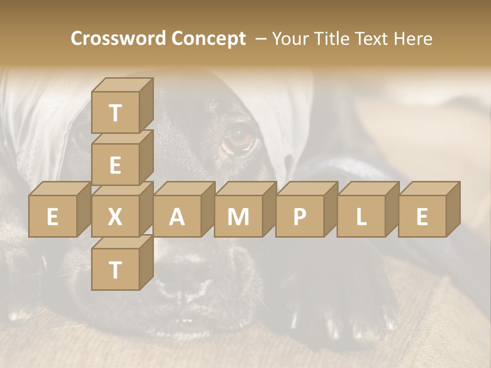 Dog PowerPoint Template