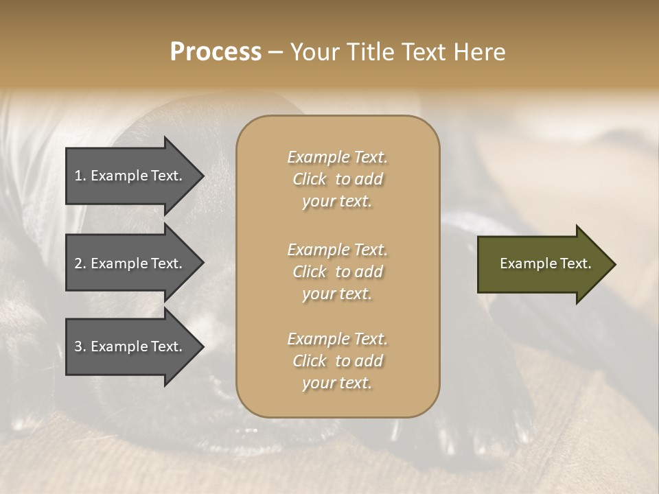 Dog PowerPoint Template
