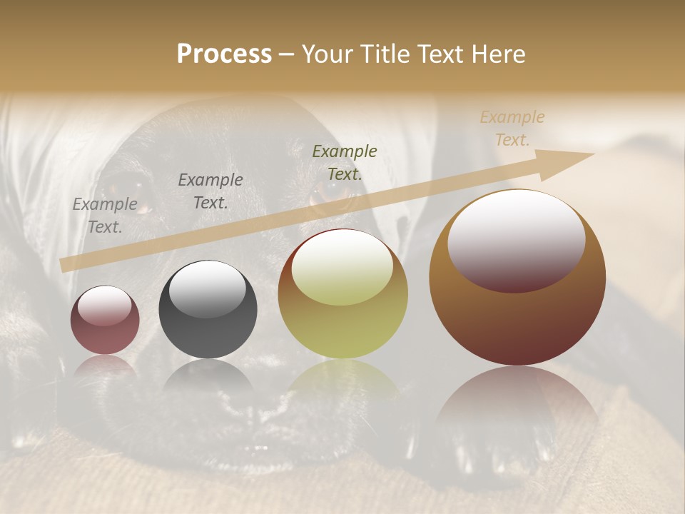 Dog PowerPoint Template