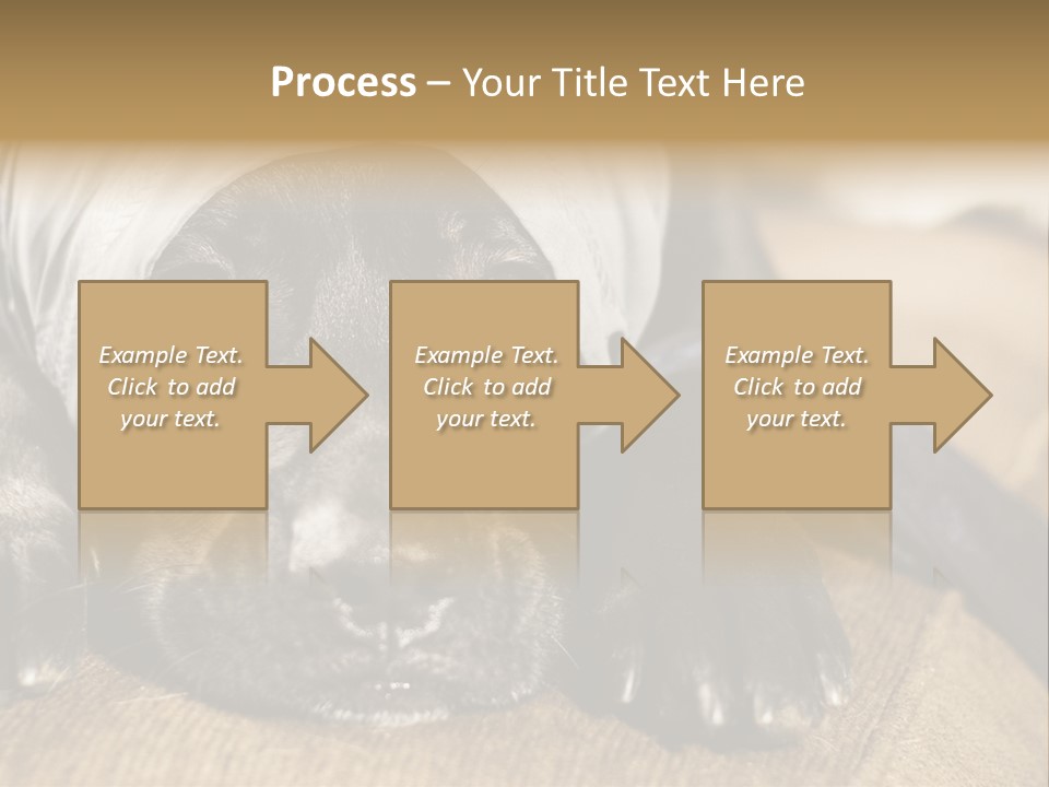 Dog PowerPoint Template