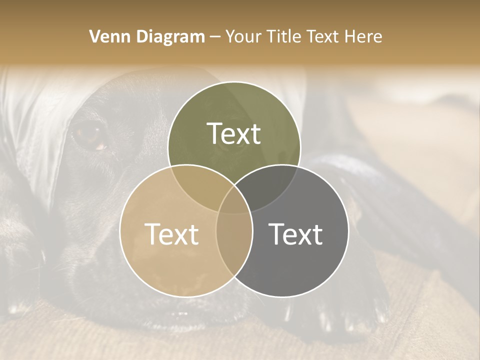 Dog PowerPoint Template