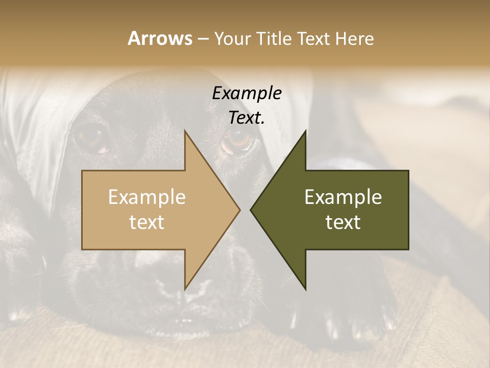 Dog PowerPoint Template