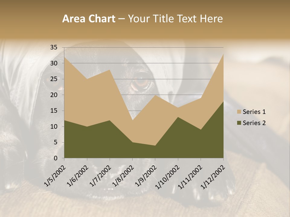Dog PowerPoint Template