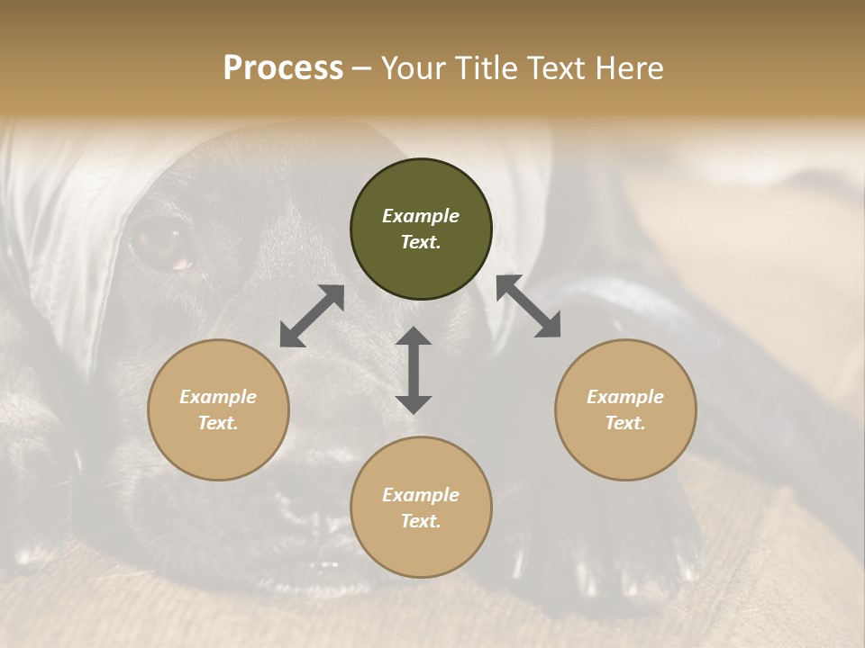 Dog PowerPoint Template