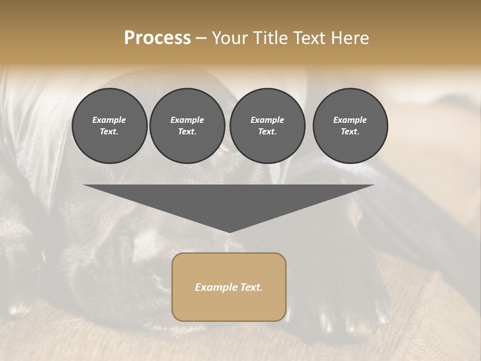 Dog PowerPoint Template