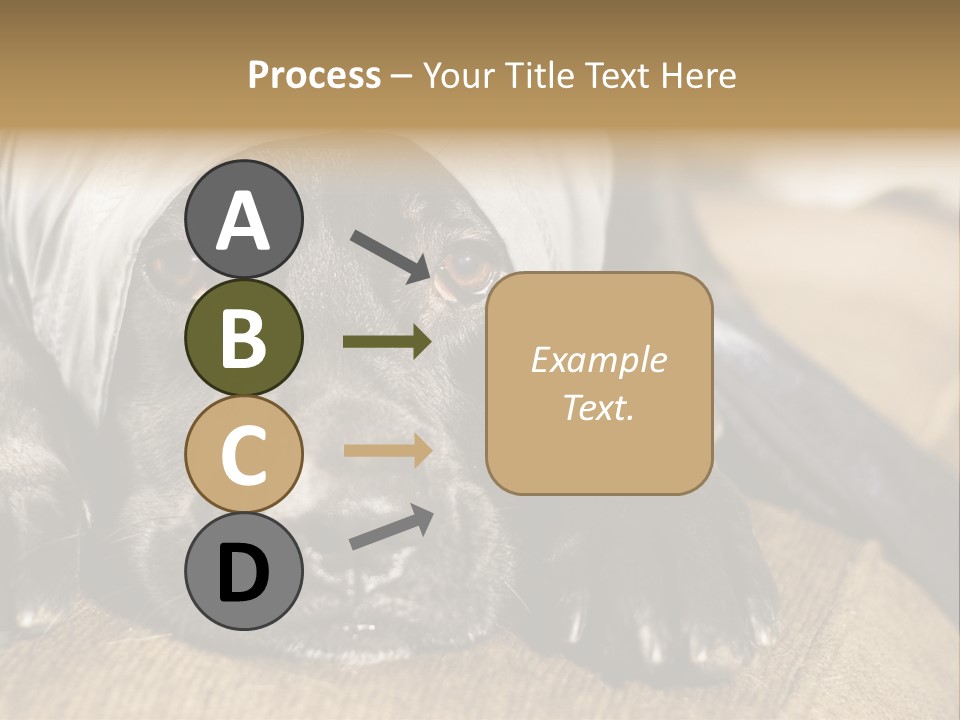 Dog PowerPoint Template