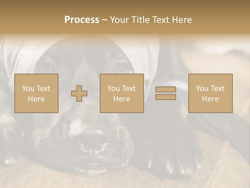 Dog PowerPoint Template