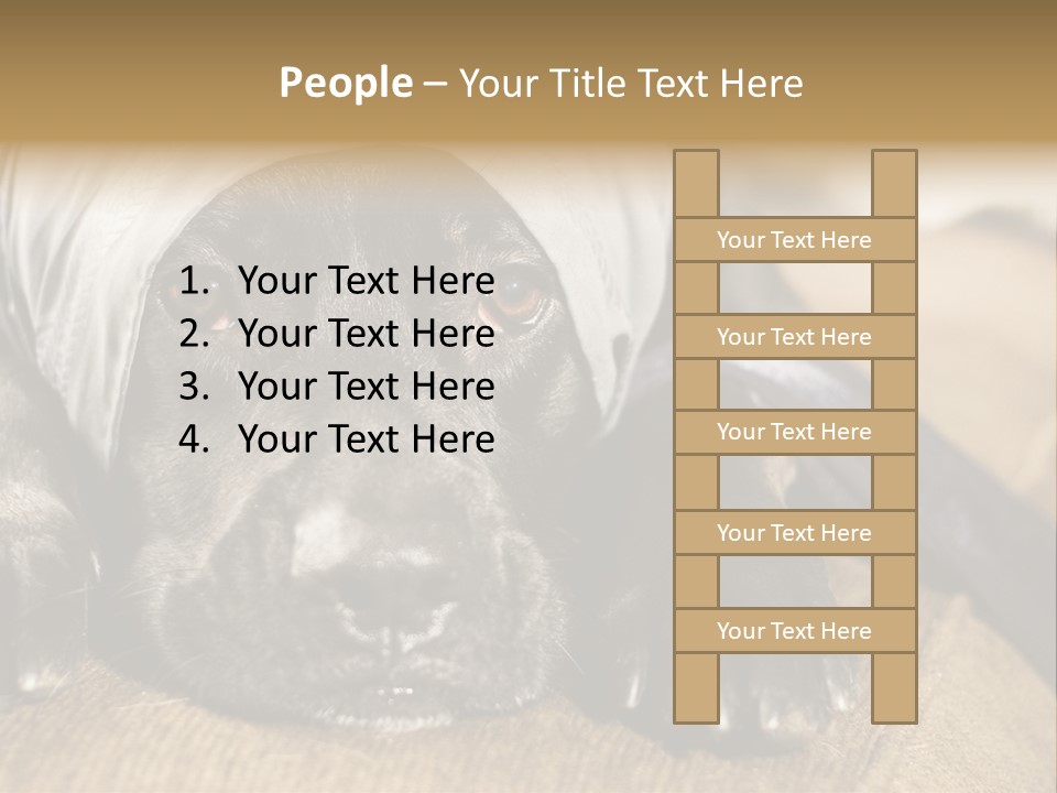 Dog PowerPoint Template