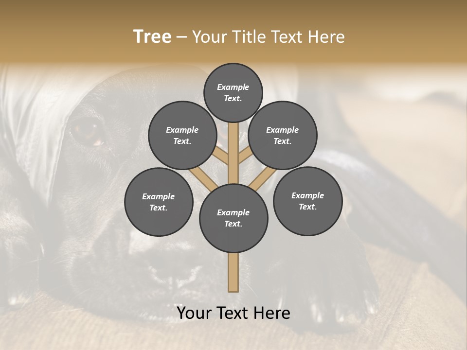 Dog PowerPoint Template