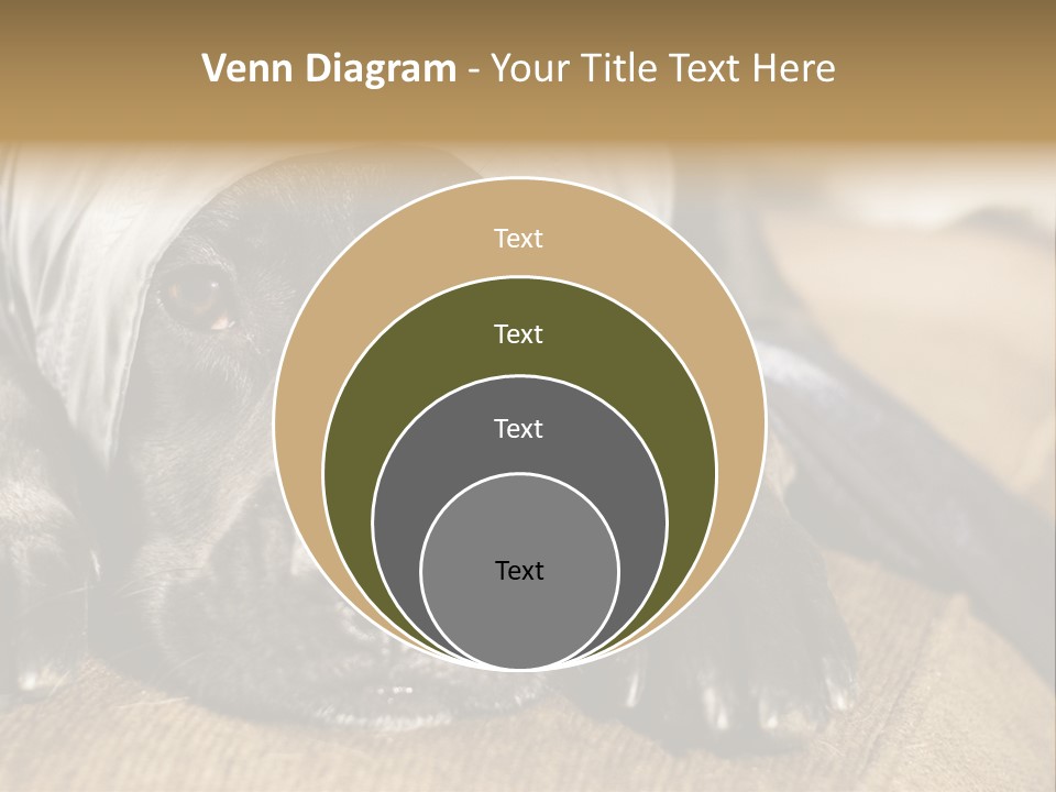 Dog PowerPoint Template