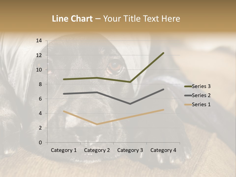 Dog PowerPoint Template