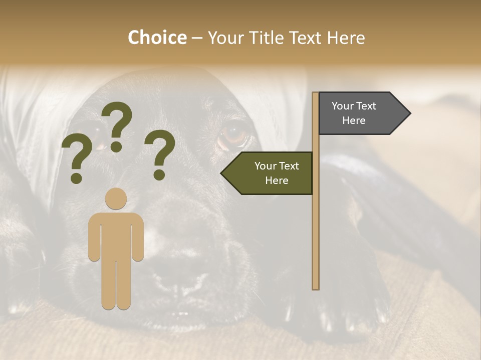Dog PowerPoint Template