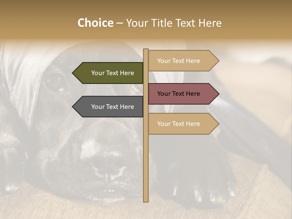 Dog PowerPoint Template