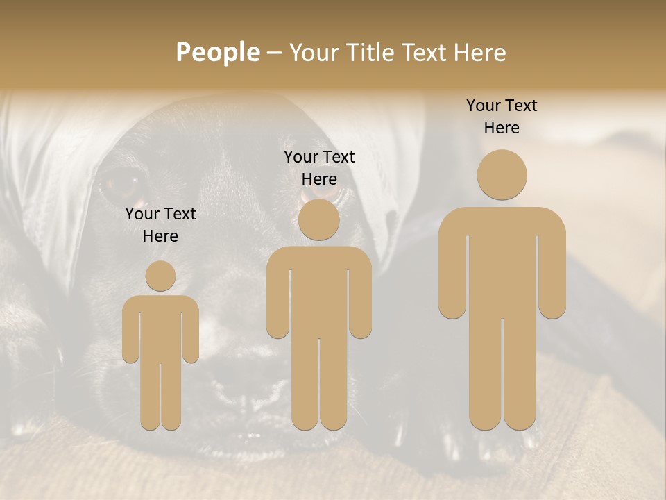 Dog PowerPoint Template