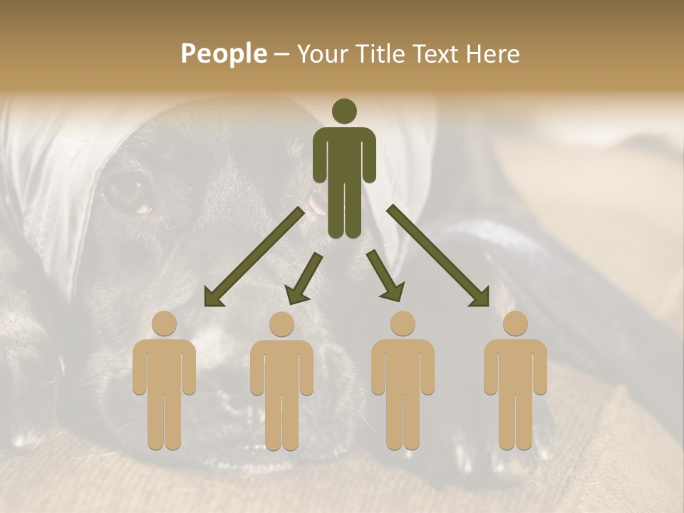 Dog PowerPoint Template
