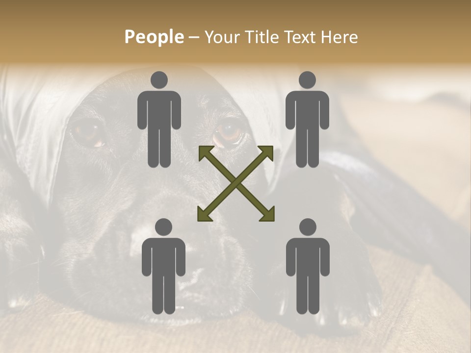 Dog PowerPoint Template