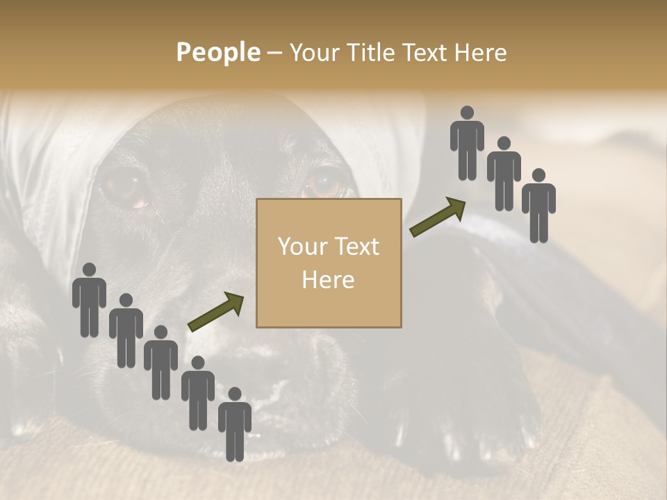 Dog PowerPoint Template