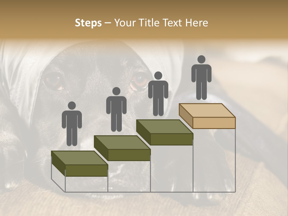 Dog PowerPoint Template