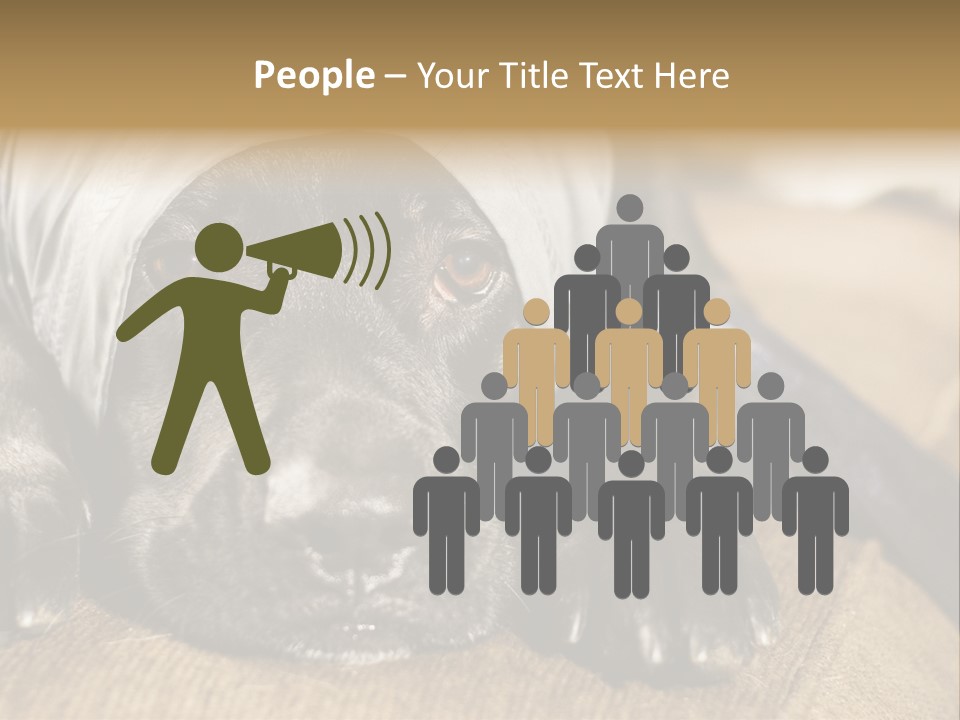 Dog PowerPoint Template