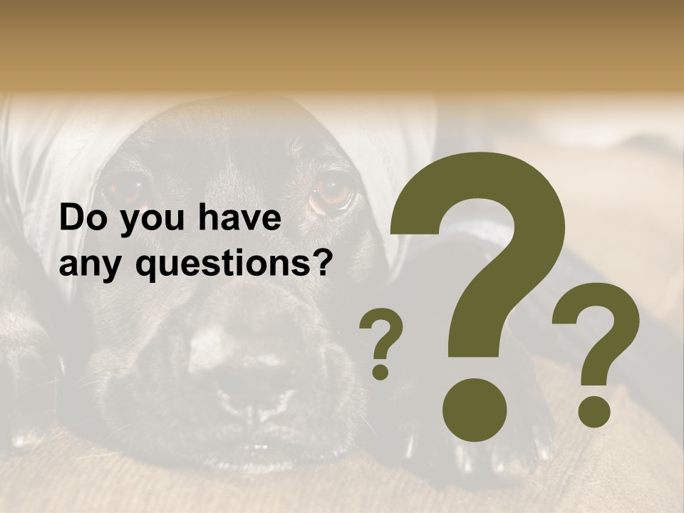 Dog PowerPoint Template