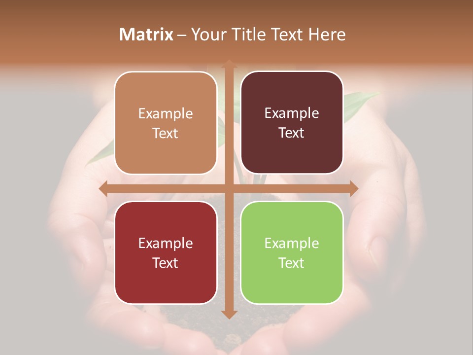 Hands Holding Sapling In Soil PowerPoint Template