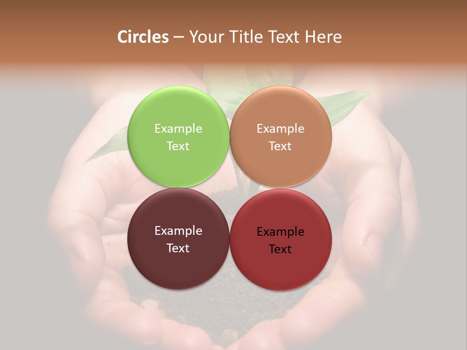 Hands Holding Sapling In Soil PowerPoint Template