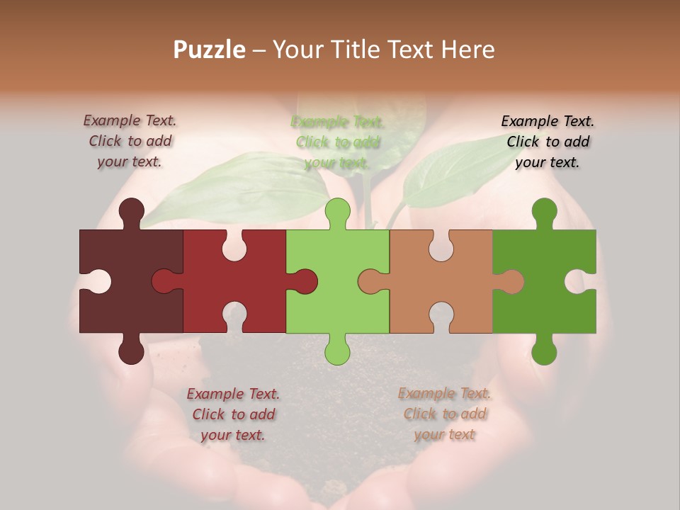 Hands Holding Sapling In Soil PowerPoint Template