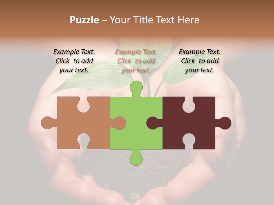 Hands Holding Sapling In Soil PowerPoint Template