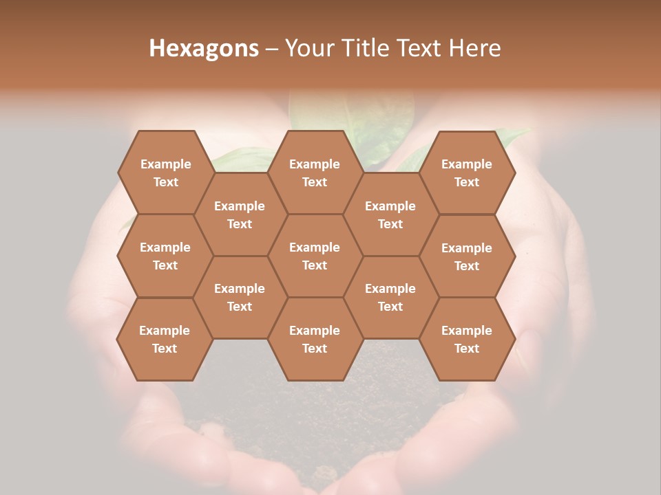 Hands Holding Sapling In Soil PowerPoint Template