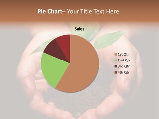 Hands Holding Sapling In Soil PowerPoint Template