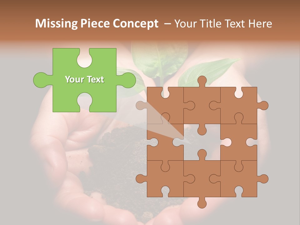 Hands Holding Sapling In Soil PowerPoint Template