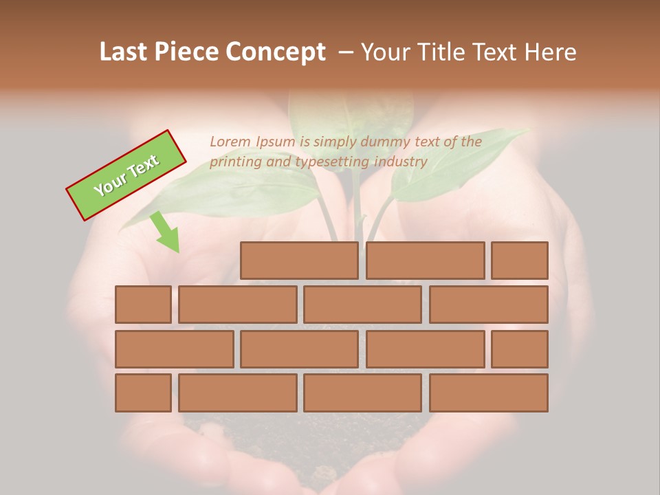 Hands Holding Sapling In Soil PowerPoint Template