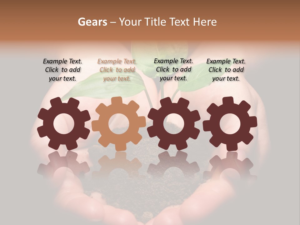 Hands Holding Sapling In Soil PowerPoint Template