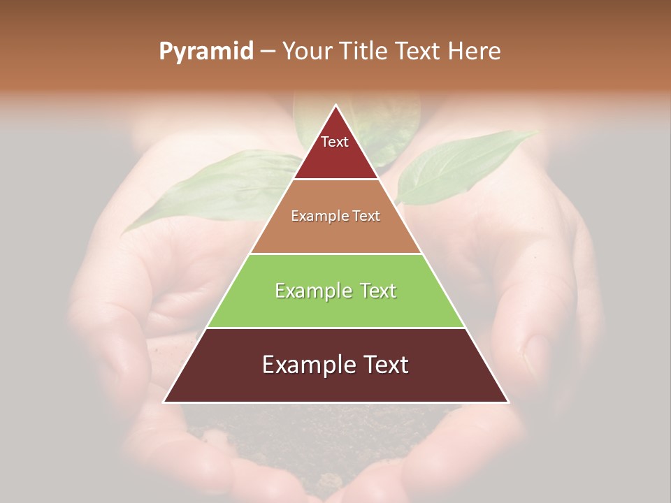 Hands Holding Sapling In Soil PowerPoint Template