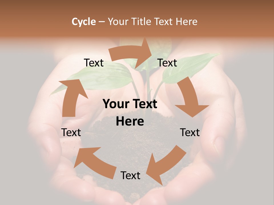 Hands Holding Sapling In Soil PowerPoint Template