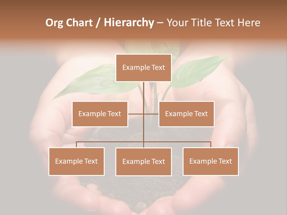 Hands Holding Sapling In Soil PowerPoint Template