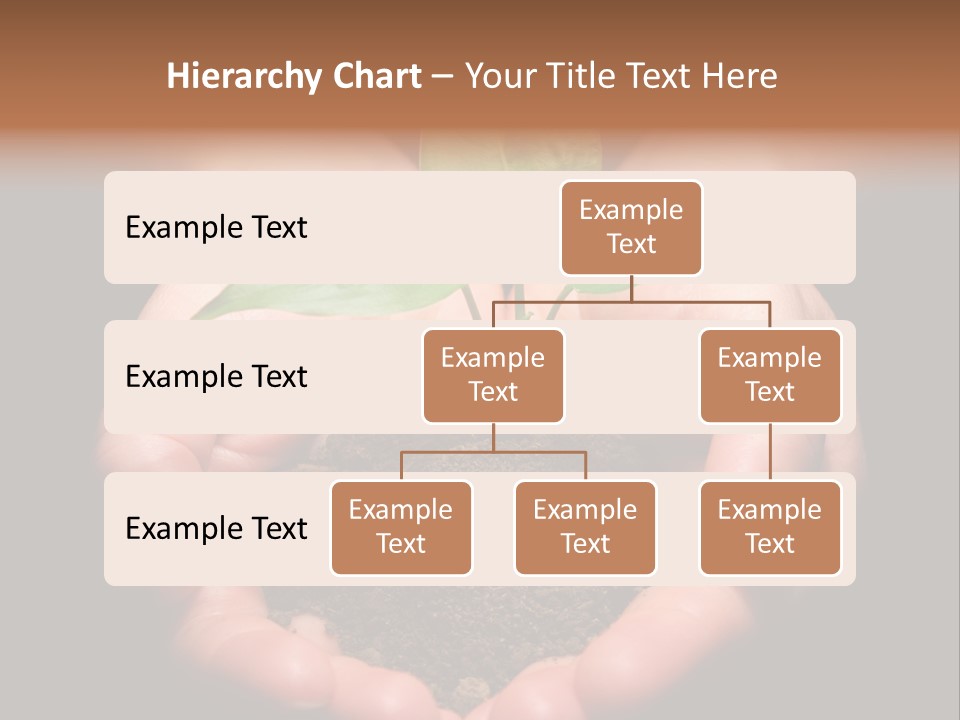 Hands Holding Sapling In Soil PowerPoint Template