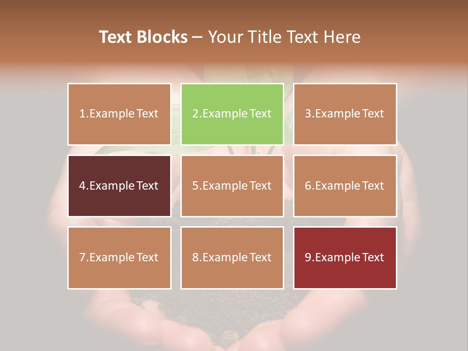 Hands Holding Sapling In Soil PowerPoint Template