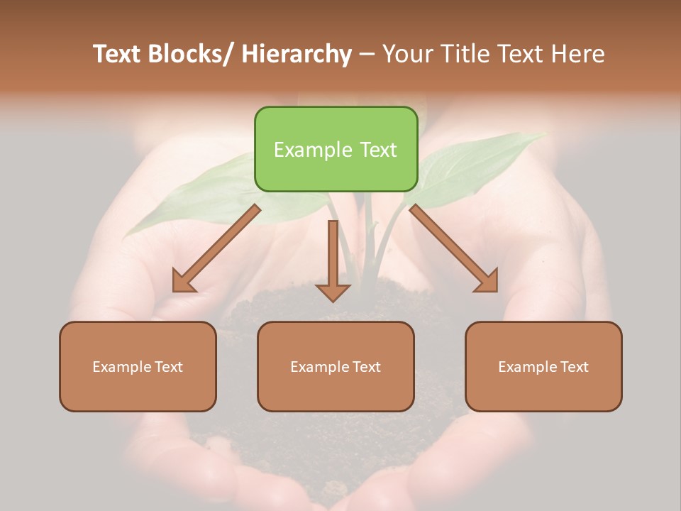 Hands Holding Sapling In Soil PowerPoint Template
