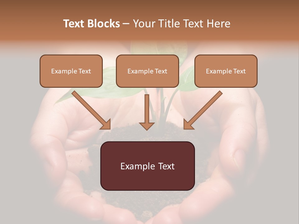 Hands Holding Sapling In Soil PowerPoint Template