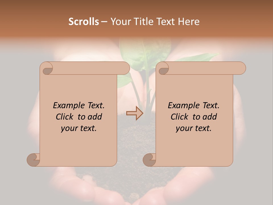 Hands Holding Sapling In Soil PowerPoint Template