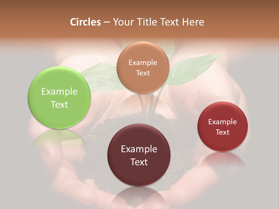 Hands Holding Sapling In Soil PowerPoint Template