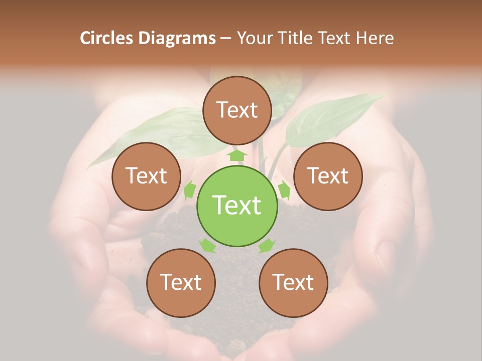 Hands Holding Sapling In Soil PowerPoint Template