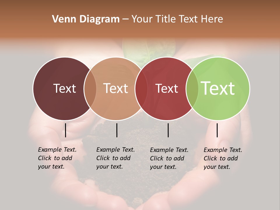 Hands Holding Sapling In Soil PowerPoint Template