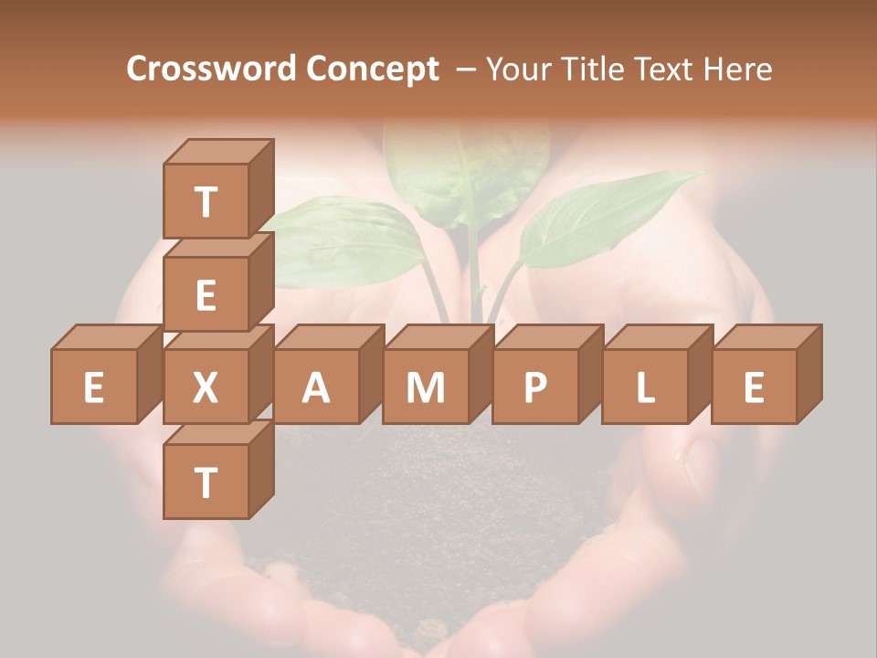 Hands Holding Sapling In Soil PowerPoint Template