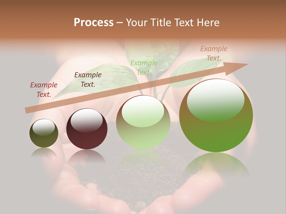 Hands Holding Sapling In Soil PowerPoint Template