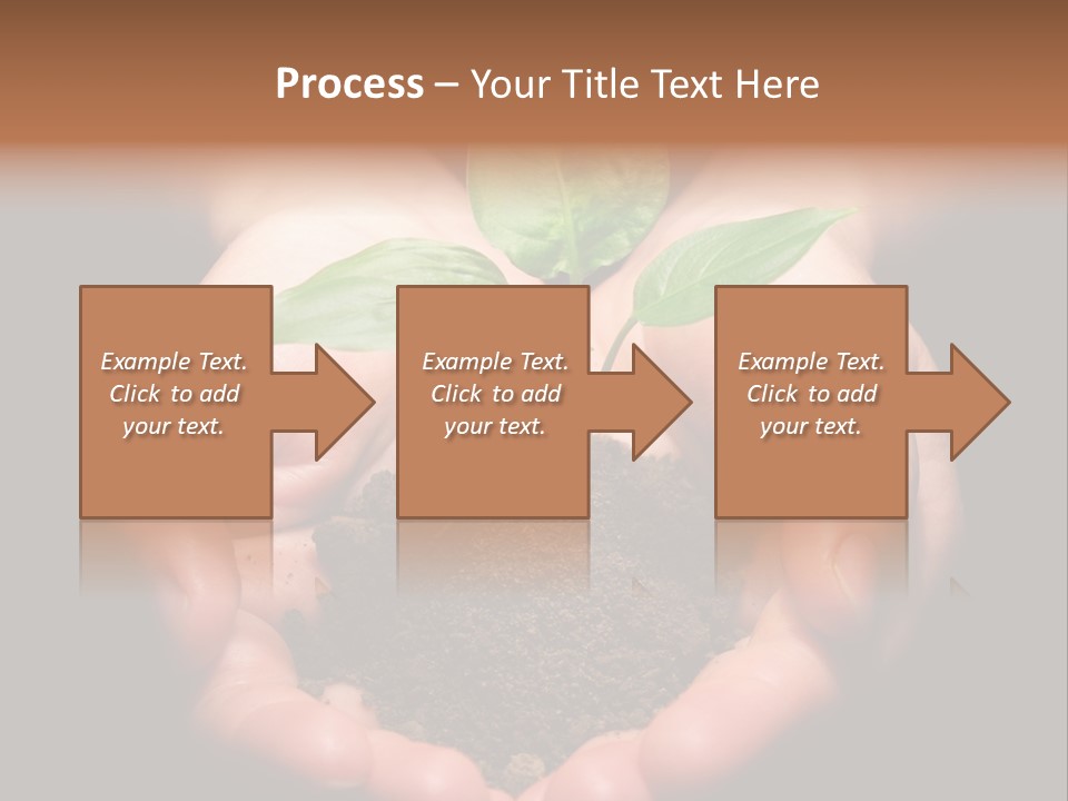 Hands Holding Sapling In Soil PowerPoint Template