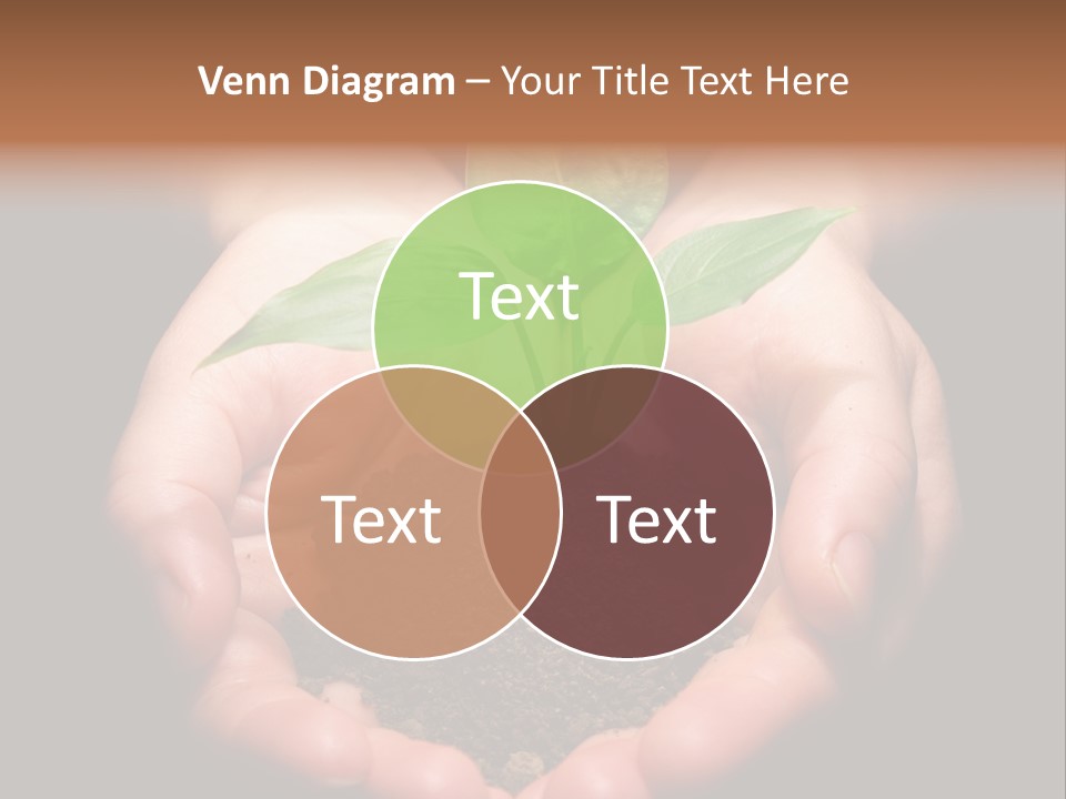 Hands Holding Sapling In Soil PowerPoint Template